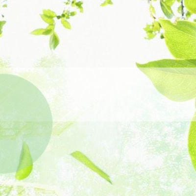 かける薬局採用情報